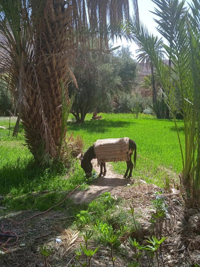 Dar Jamila Otel Achbarou Dış mekan fotoğraf